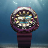 Q8 Horology Watches NUBEO VENTANA SKELETON AUTOMATIC  LIMITED EDITION